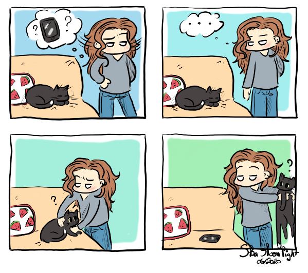 chat voleur.jpg